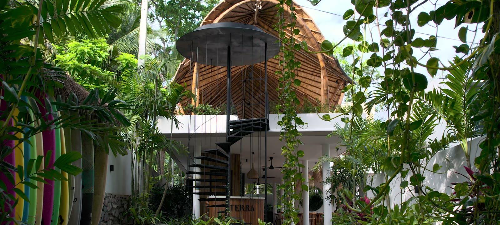The shala's wavy roof rising out of the jungle canopy